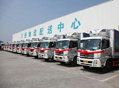 南京冷链物流公司